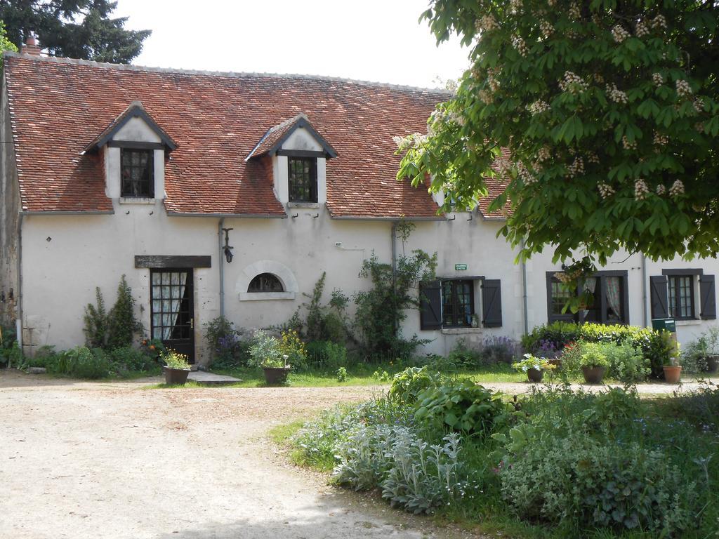 B&B La Ferme Des Bordes Pontlevoy Exterior photo